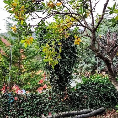 Vila Foteini